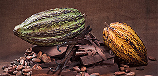 Cacao-Behandlung von der Kosmetikerin Sema Harman Cacao-Behandlung von der Kosmetikerin Sema Harman